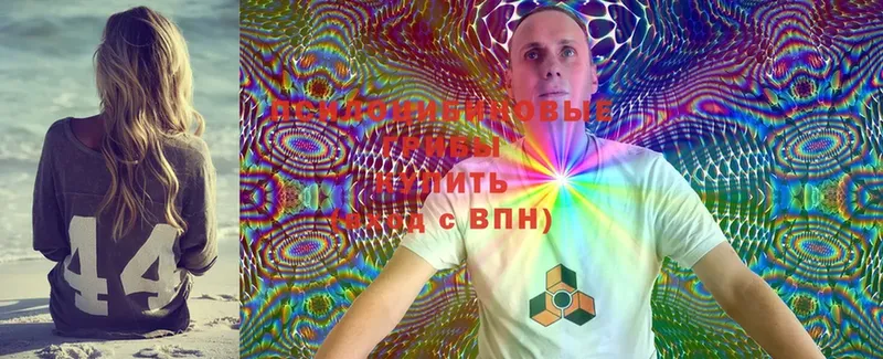 Галлюциногенные грибы MAGIC MUSHROOMS  Соль-Илецк 